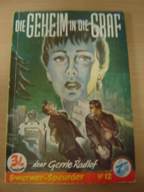 Gerrie Radlof - Die geheim in die graf