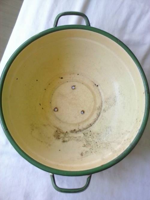 Enamel dish that was used as a flower pot. It has three holes in the bottom.