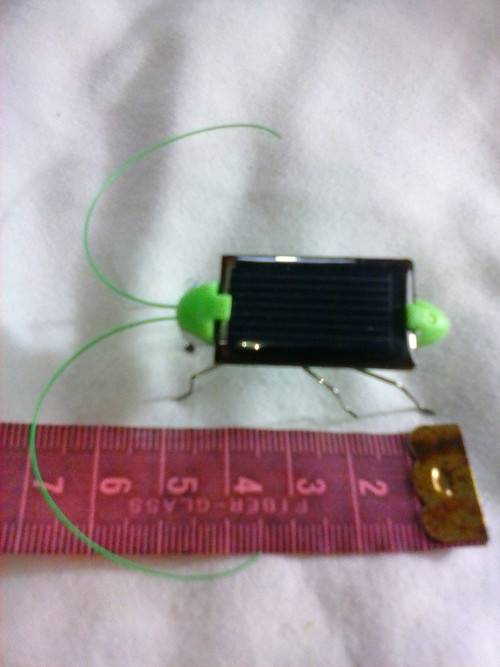 Solar bug that vibrates in the sun, like new.