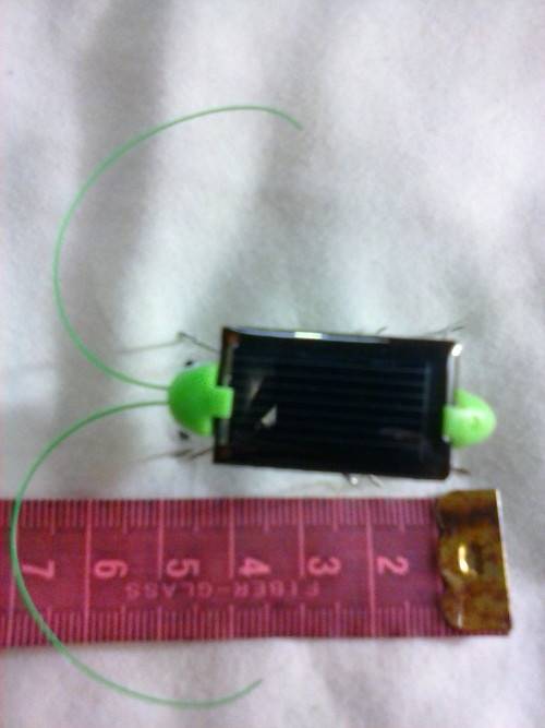 Solar bug that vibrates in the sun, like new.