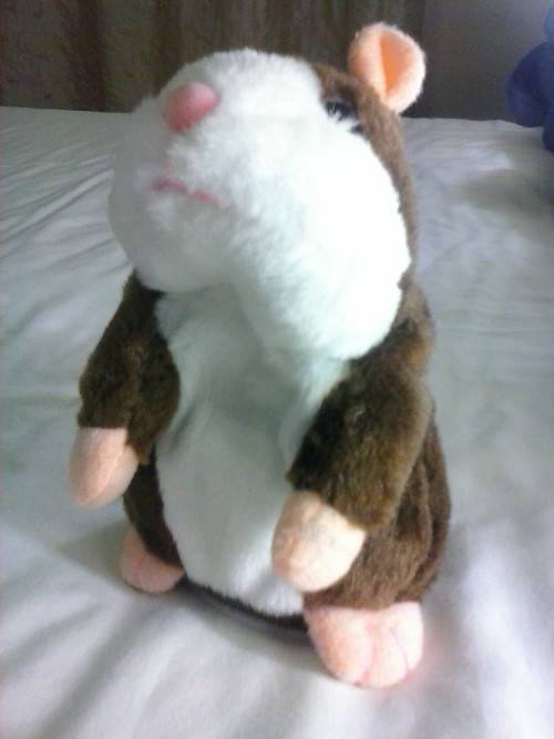 Talking hamster toy