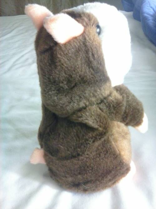 Talking hamster toy