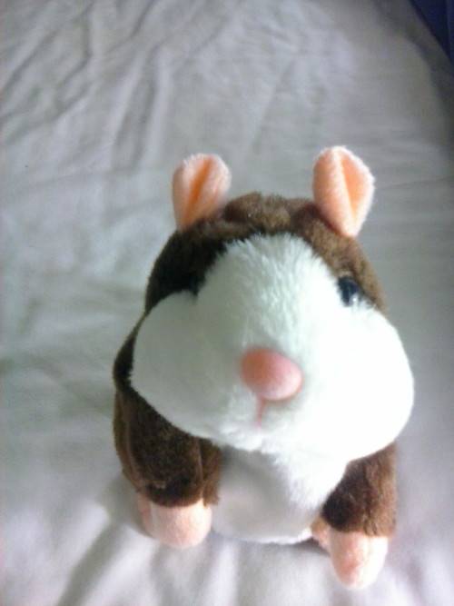 Talking hamster toy