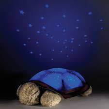 Turtle Night Light