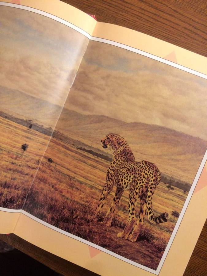 Out of Africa - Karen Blixen (Illustrated Hardcover Edition)
