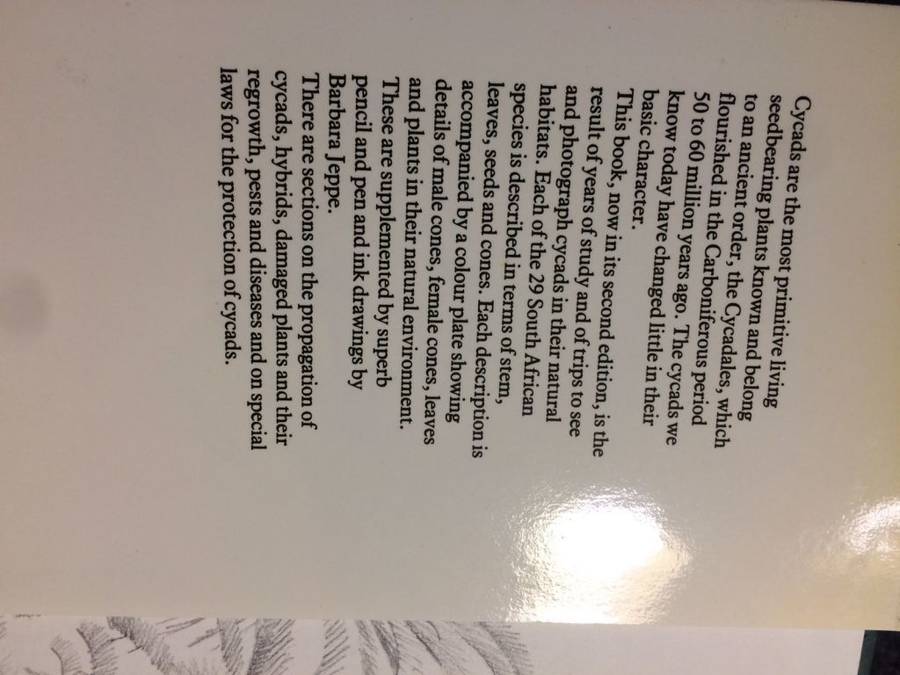 Cycads of South Africa - Cynthia Giddy (1984 2nd Revised Edition)