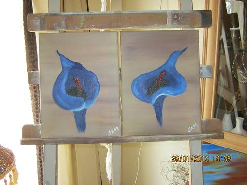 Oil paintings of Arum Lilies