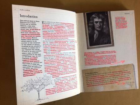 Newton's Notebook, Joel Levy