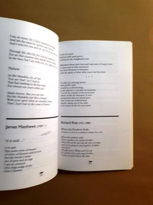 Broken Strings - The Politics of Poetry in South Africa, ed. Finn/Gray