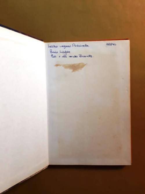 Dwergplaneet, Pieter Steen