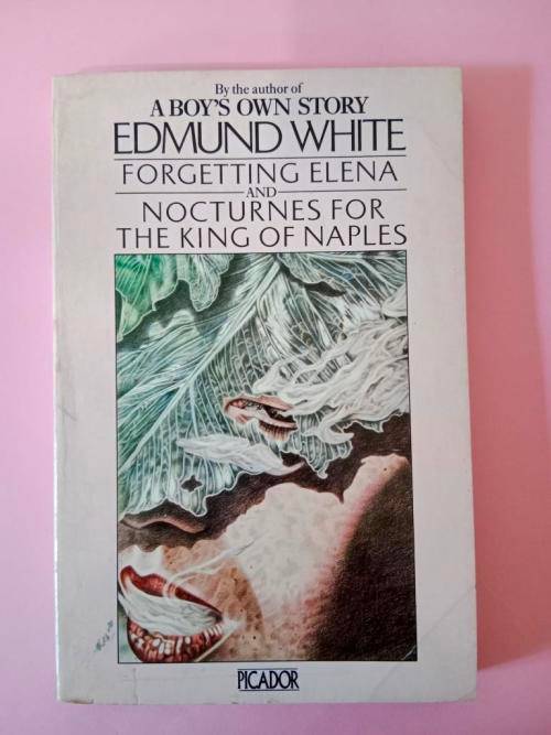 Forgetting Elena and Nocturnes for the King of Naples, Edmund White
