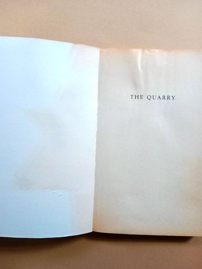 The Quarry, Damon Galgut