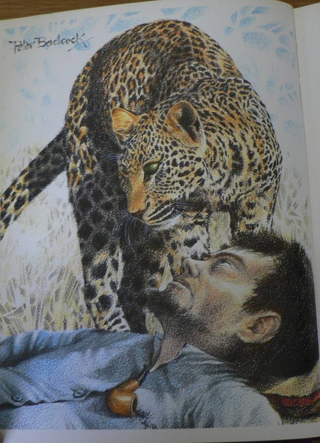 The illustrated Bosman(beautiful book)