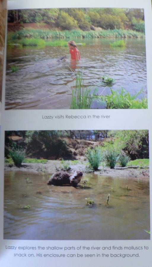 Return to the Wild by Danelle and Brendan Murray( South African nature book)