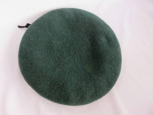 S A P H I PRETORIA  GREEN BERET