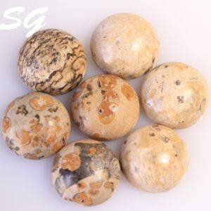 Natural Mined leopard jasper 8.11mm  1.80cts