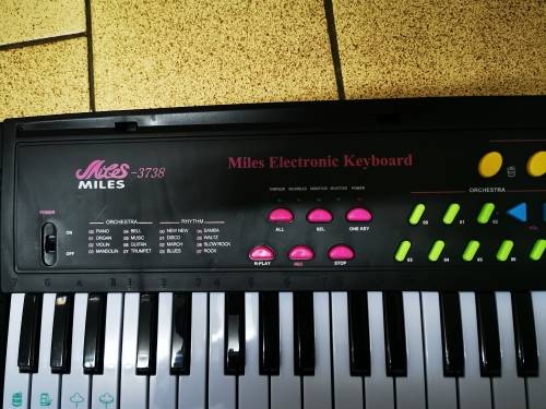 MILES 44 Key Children's Electric Music Keyboard Piano for Beginners and Kids...