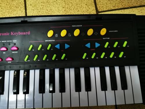 MILES 44 Key Children's Electric Music Keyboard Piano for Beginners and Kids...