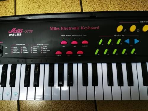 MILES 44 Key Children's Electric Music Keyboard Piano for Beginners and Kids...