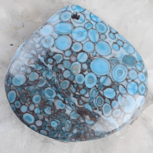 Beautiful 40x40mm Blue Cowry Fossil Pendant Bead