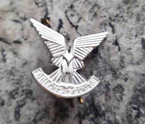 Selius Scout Collar Badge