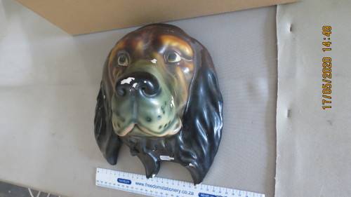ceramic dogs head, for hanging on the wall, 24.5cm diameter, very attractive,....., as per photo