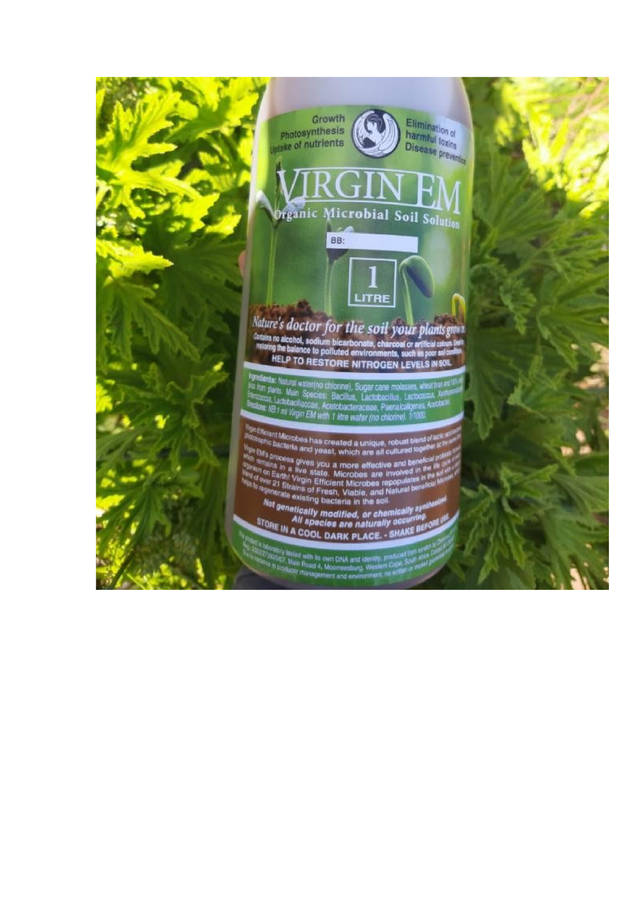 Chrinoras Virgin Efficient Microbes