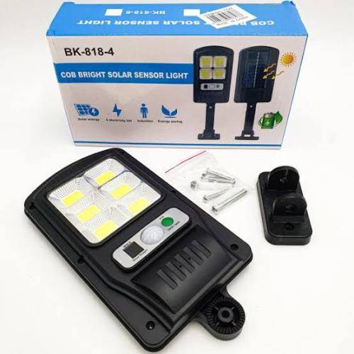 Solar Outdoor Induction Street Lamp