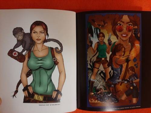 Tomb Raider Collectors Item
