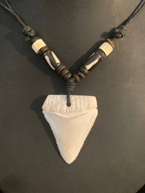 GREAT WHITE SHARK TOOTH PENDANT/ NECKLACE