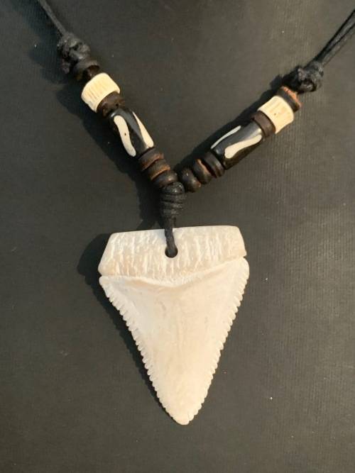 GREAT WHITE SHARK TOOTH PENDANT/ NECKLACE