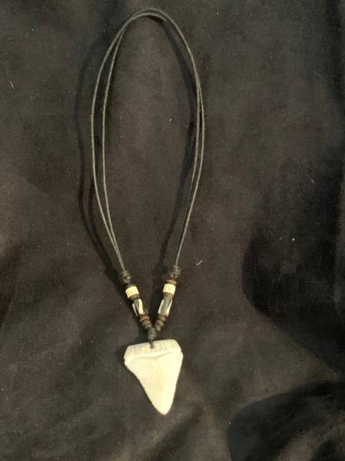 GREAT WHITE SHARK TOOTH PENDANT/ NECKLACE