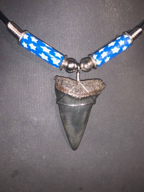 Mako FOSSIL SHARK TOOTH PENDANT NECKLACE 3 cm large