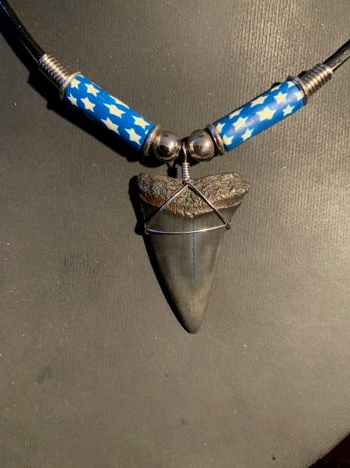 Mako FOSSIL SHARK TOOTH PENDANT NECKLACE 3 cm large