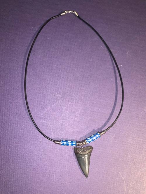 Mako FOSSIL SHARK TOOTH PENDANT NECKLACE 3 cm large