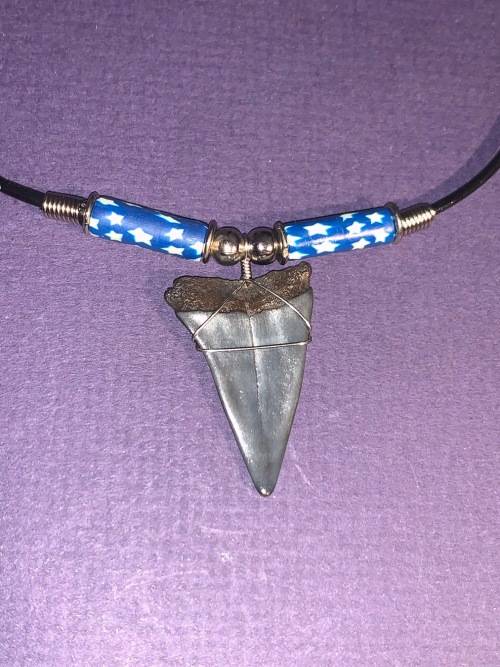 Mako FOSSIL SHARK TOOTH PENDANT NECKLACE 3 cm large