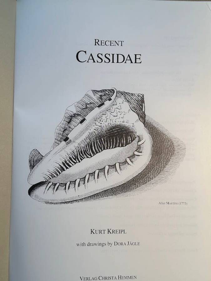 Recent Cassidae by K Kreipl