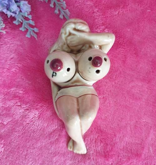 Vintage Naked Nude Lady Boobs Salt & Pepper Shakers  `Spice of Life`.