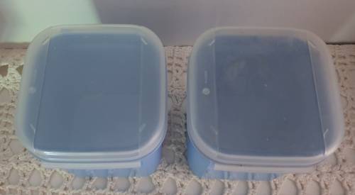 Two Tupperware Containers Blue