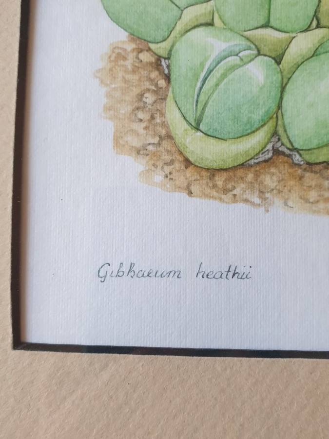 SMALL FRAME WITH PICTURE | SIGNED |