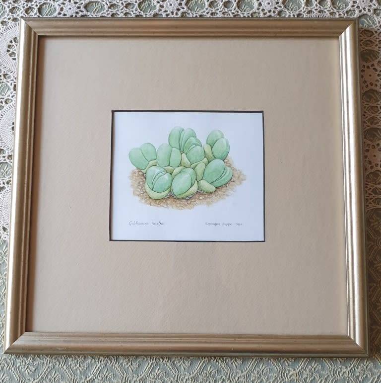 SMALL FRAME WITH PICTURE | SIGNED |