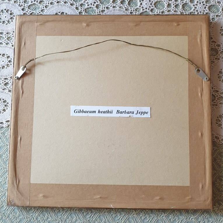 SMALL FRAME WITH PICTURE | SIGNED |