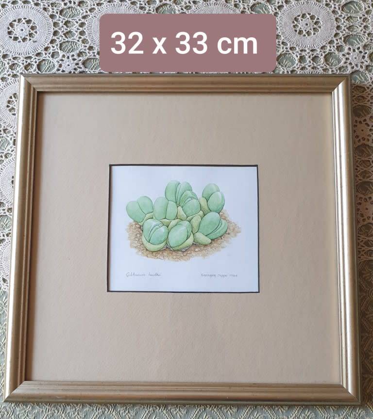 SMALL FRAME WITH PICTURE | SIGNED |