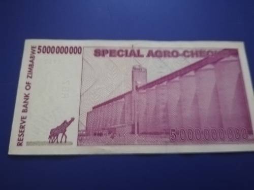 Five Billion Dollars Zimbabwe