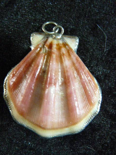 SHELL PENDANT