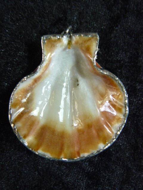 SHELL PENDANT