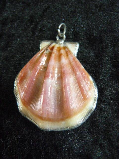 SHELL PENDANT
