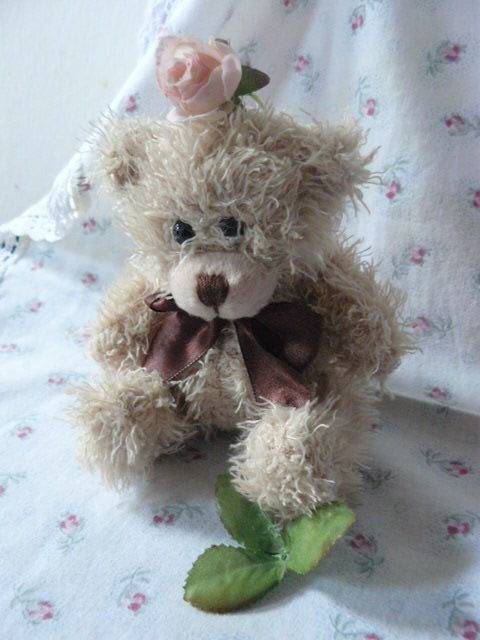 TEDDY BEAR SOFT