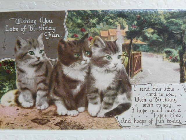 PHOTOGRAPHS ORIGINAL VINTAGE X3