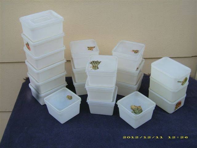Freezette storage containers